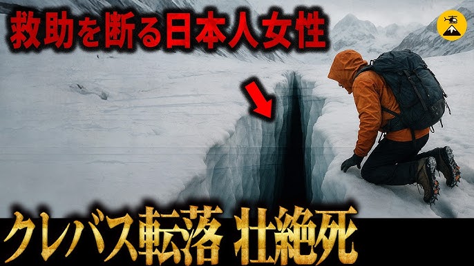 K'sどうぶつ病院 上井草駅・犬 千葉ドクターズ