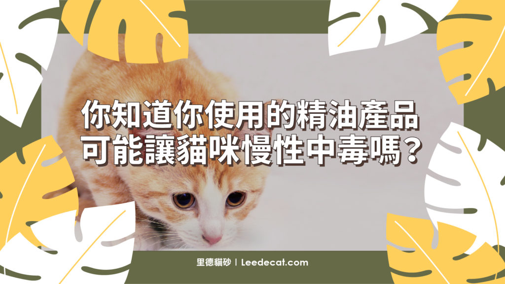 寵物芳療的基本知識