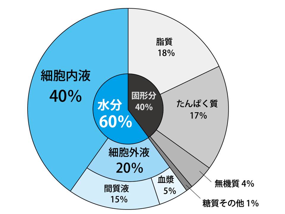 一日に必要な水分量はどれぐらい？BLOG上野御徒町・お茶の水でのパーソナルトレーニングならDesignbody デザインボディ