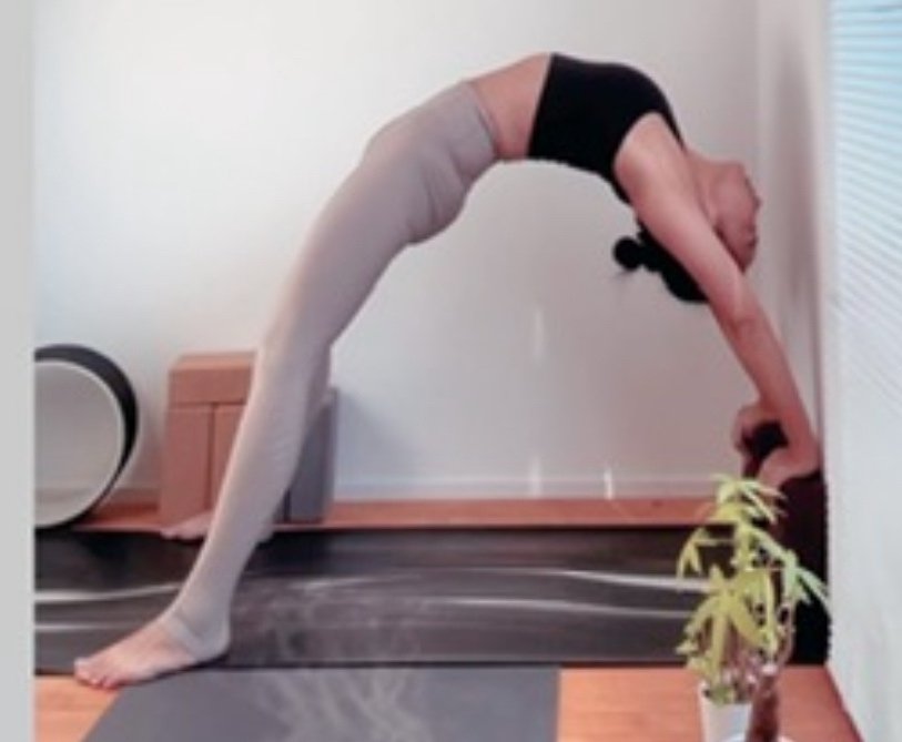 ヨガの後屈で腰を痛めず深めるヨガセラピー専門情報サイト日本ヨガメディカル協会