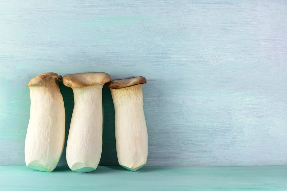 エリンギの白いカビは食べれる？腐るとどうなるか、新鮮な物の見分け方や保存方法も食生活研究所 -食☆ラボ