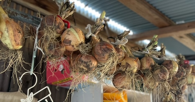 腐敗する夢・腐る夢の夢占い - ゆめの夢占い