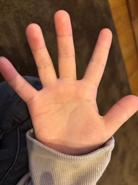 手相占い：基本の基本 左右どちらの手で占うか？男女の違いは