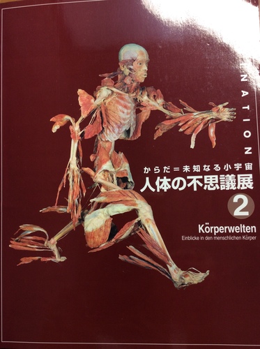 人体の不思議―カラダと脳の知られざる秘密と謎に迫る!』感想・レビュー - 読書メータ