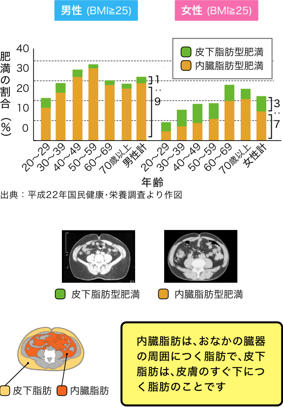 10年間のBMIの変化と肥満の発生率について現在までの成果多目的コホート研究国立研究開発法人 国立がん研究センター がん対策研究所予防関連プロジェクト