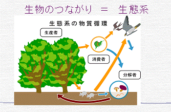 萩・森倫館について - 萩・森倫館