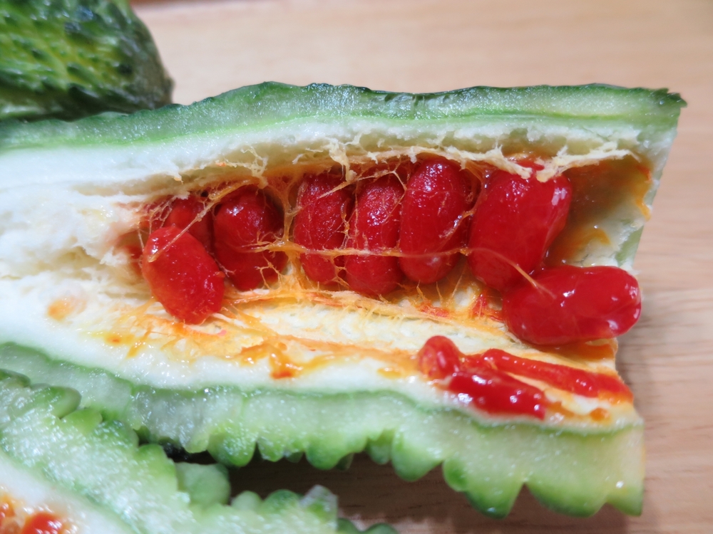 ゴーヤの赤い種 - はなまる人生に向けて☆なお知恵のご紹介