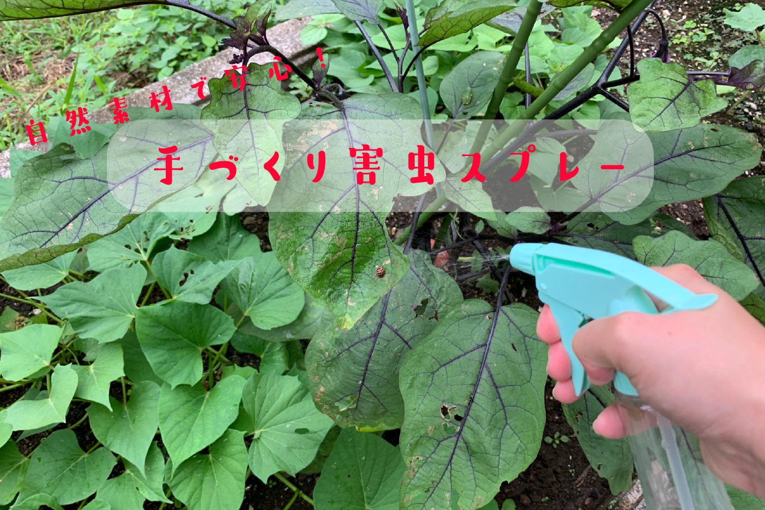 蜂 カメムシ駆除 スプレー ハチの巣を作らせない ハチアブ スーパージェット 455ml 1セット 2個殺虫剤 駆除剤 対策 ベランダ アース製薬- アスクル