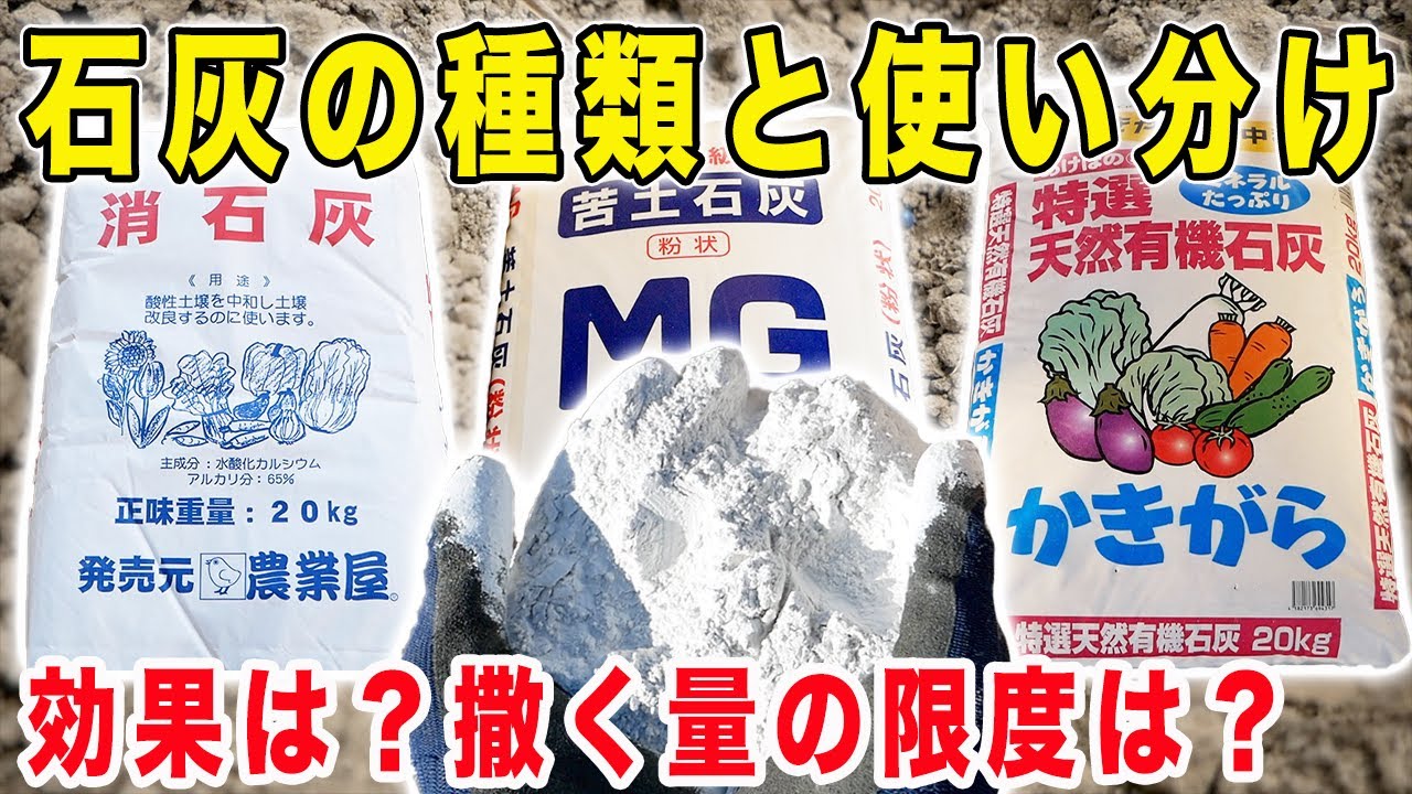 石灰の種類や使い方、石灰を使うタイミング 家庭菜園編LOVEGREEN ラブグリーン