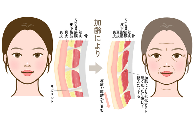 老け顔は鼻にあり 加齢とともに大きくなる鼻、7割が対策せず 自覚しづらい“鼻の肥大化”の原因と防ぐための生活術1 2女性セブンプラス