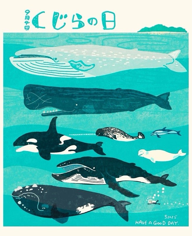 クジラ図鑑大方ホエールウォッチング