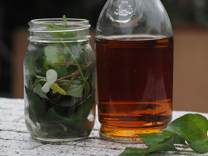 先日拝見した投稿に大変感銘を受けまして、早速ドクダミヨーグルトを作ってみたのですが、どこか行程が抜けているのか上手くいきませんでした。 ドクダミの臭さはないのですが、発酵臭がかなり強烈で、多めの砂糖とジャムで何とか飲み込みました。市販のヨーグルトしか