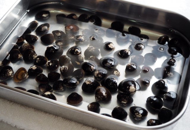 アサリは砂抜き＆塩抜きがおいしさのポイント！潮干狩りで採ってきたアサリを美味しく楽しむヒント＆レシピ ASOPPA! ｄメニューニュース NTTドコモ