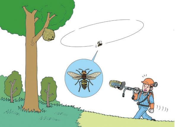 ハチ注意イラスト無料イラスト・フリー素材なら「イラストAC」