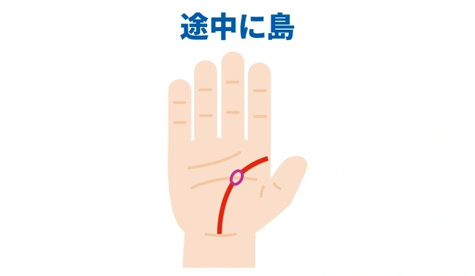 手相についての質問です。生命線が二本に枝分かれていて短いので、健康- Yahoo!知恵袋