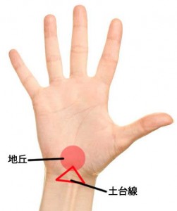 手首に3～4本の線がありますか？もしあれば、特別かも