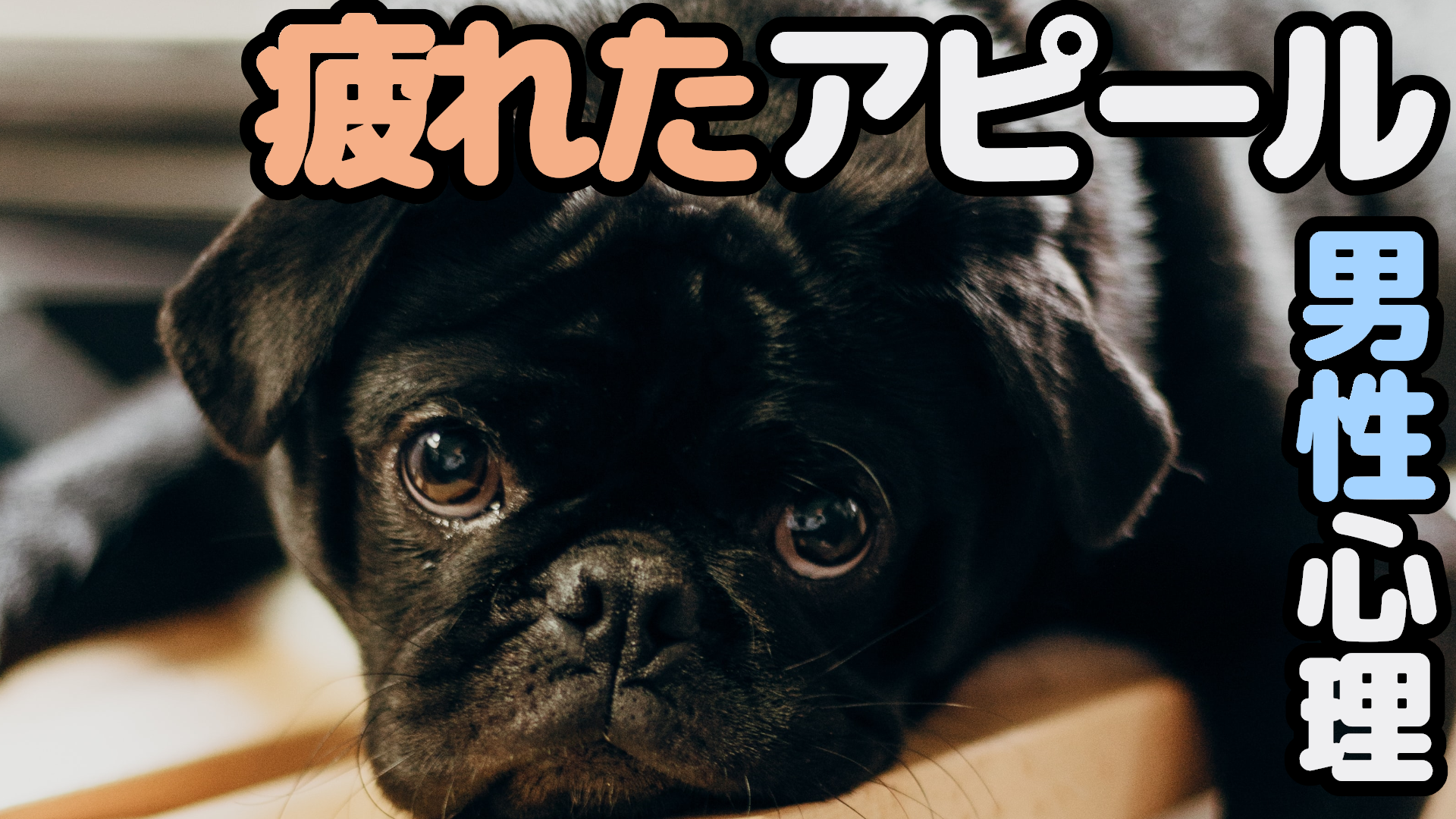 連絡しない彼の男性心理と忙しいと言われた時の本音と対処法