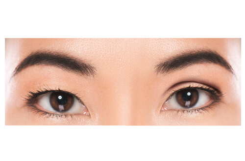 目は二つある意味があります。 左右の視力の違い、両目の視点のズレは体調不良にもなります。メガネでイマイチ見え方が良くない、偏頭痛がある、身体が疲れるなど、ぜひご相談ください。アイズアリーナ倉敷メガネ岡山メガネ 岡山眼鏡岡山 倉敷 めがね両眼視機能