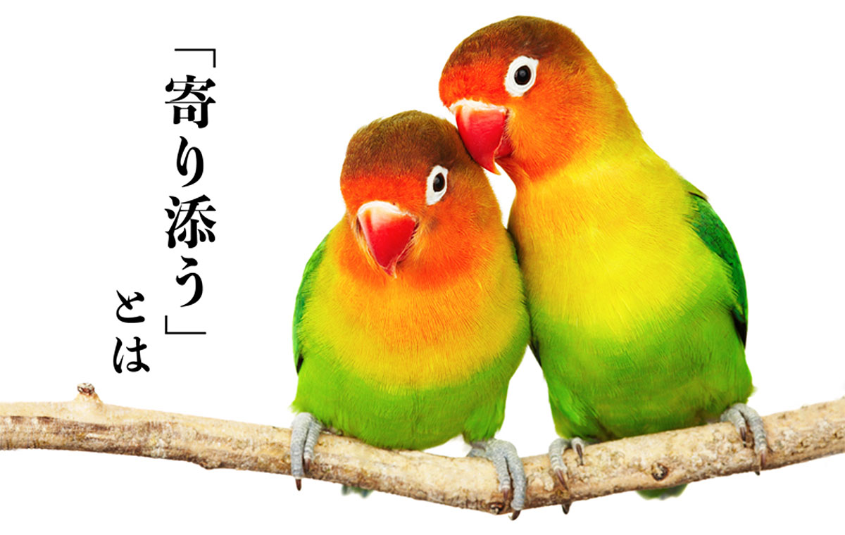 かとうのひとりごと１ ～こころにそっと寄り添う言葉たち～通信制高校 東京 代々木高等学校 東京校 公式 東京都渋谷区代々木