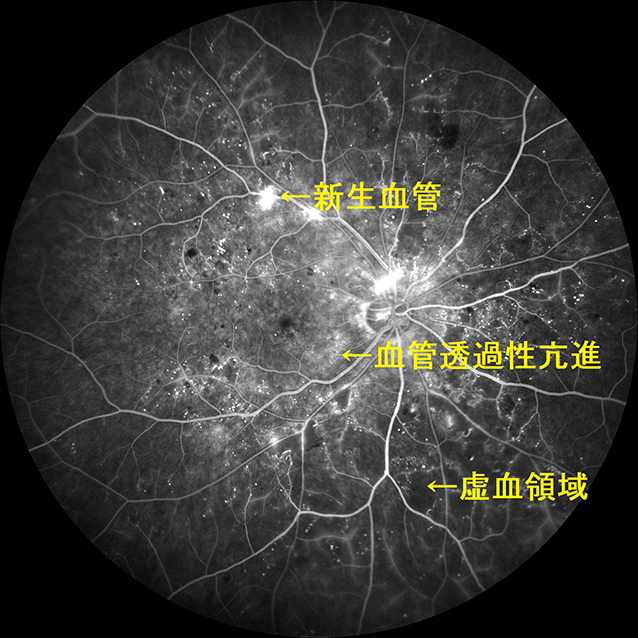 当院の初期臨床研修の特徴 藤枝市立総合病院