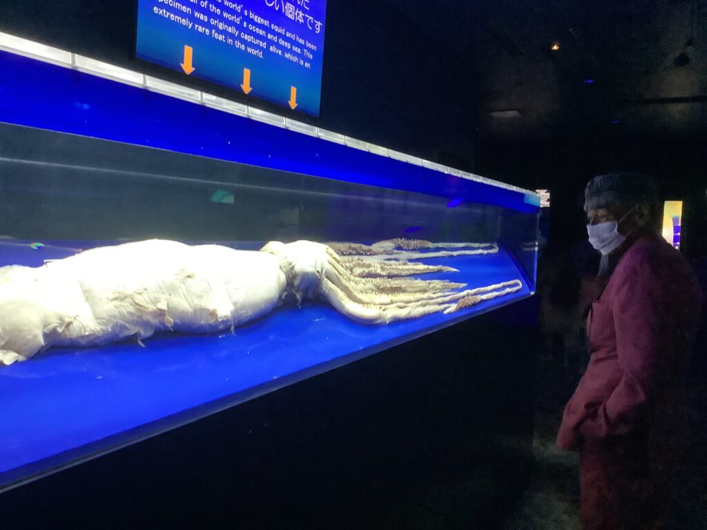 ウミガメはポリ袋で死なず？？？国府田利光