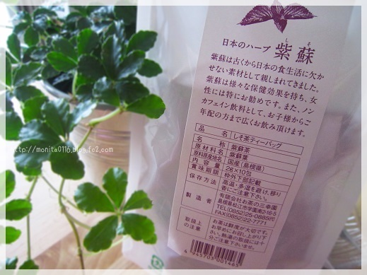 シソの効果！鉄分豊富で花粉症にもいい しそ茶でハーブティー体験♪気ままな笑顔のしあわせ生活節約ごはんレシピ