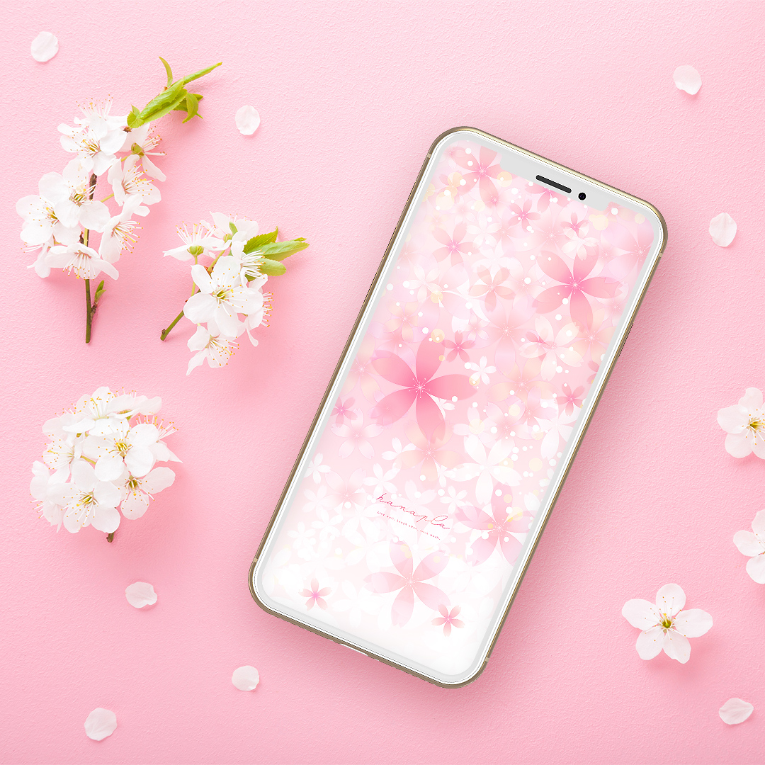 占い師監修 開運の待ち受け画像36選！効果を実感した体験談つきニフティ不動産