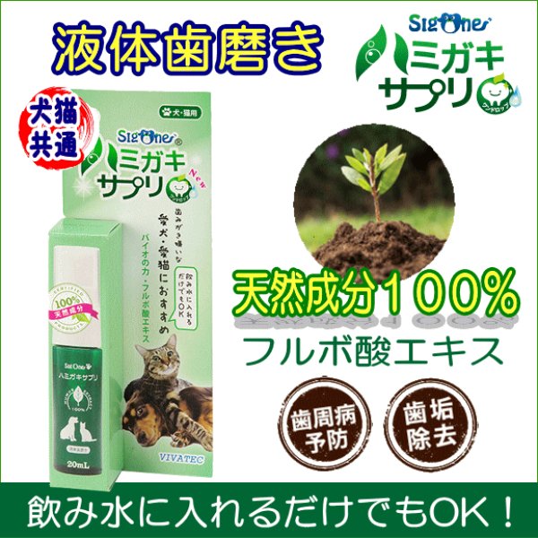 猫用歯磨きグッズのおすすめ人気ランキング14選おやつタイプや獣医師解説の歯磨きのやり方も紹介 - Best One ベストワン