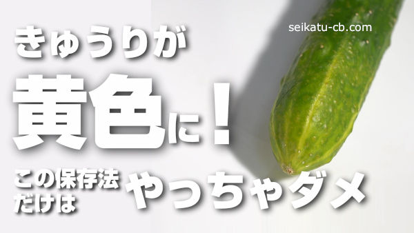 きゅうりの葉の色が黄色に！この状態、大丈夫？ – 菜園ナビまとめ