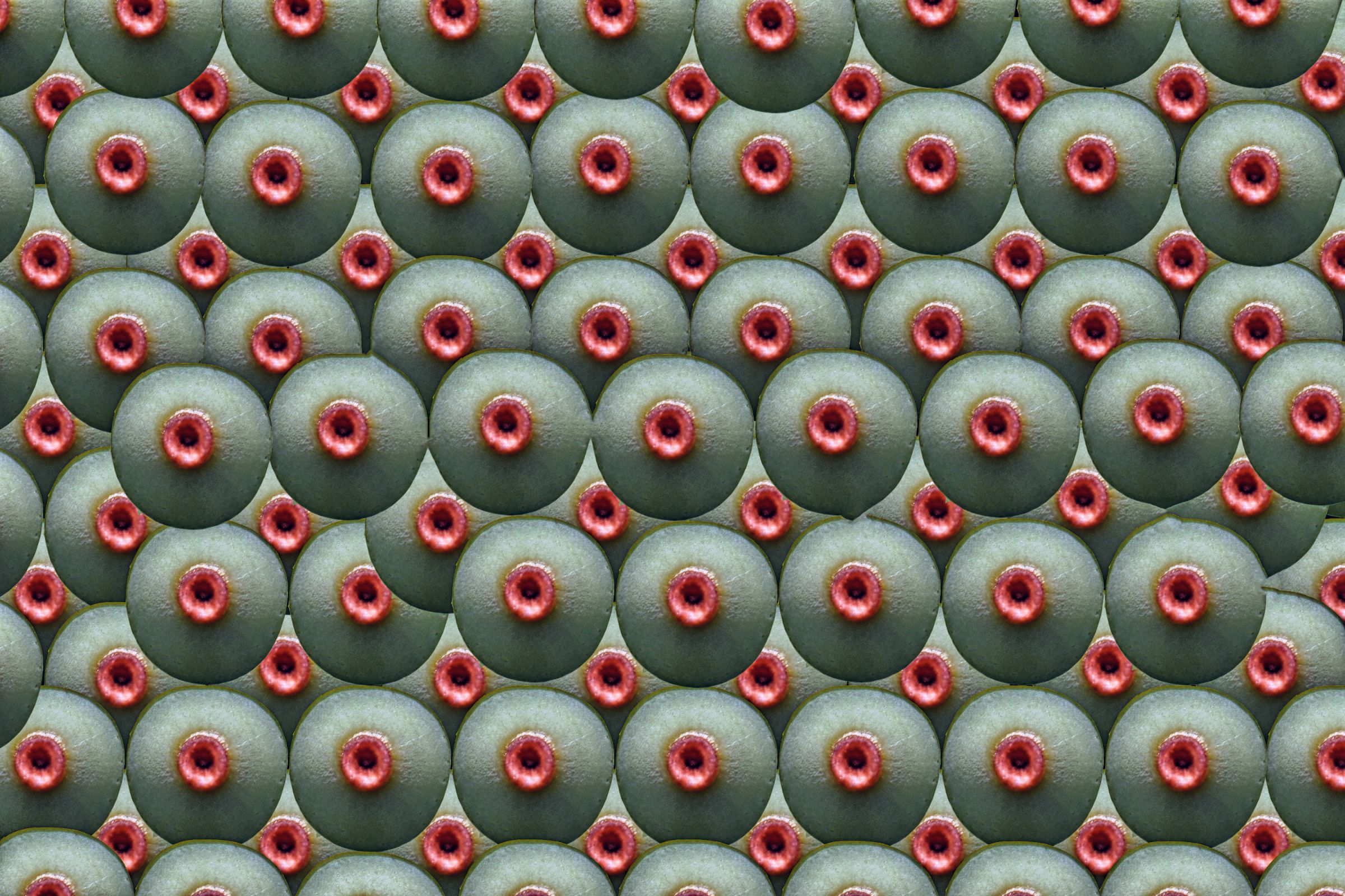 福井のカズさん💏 on X: 