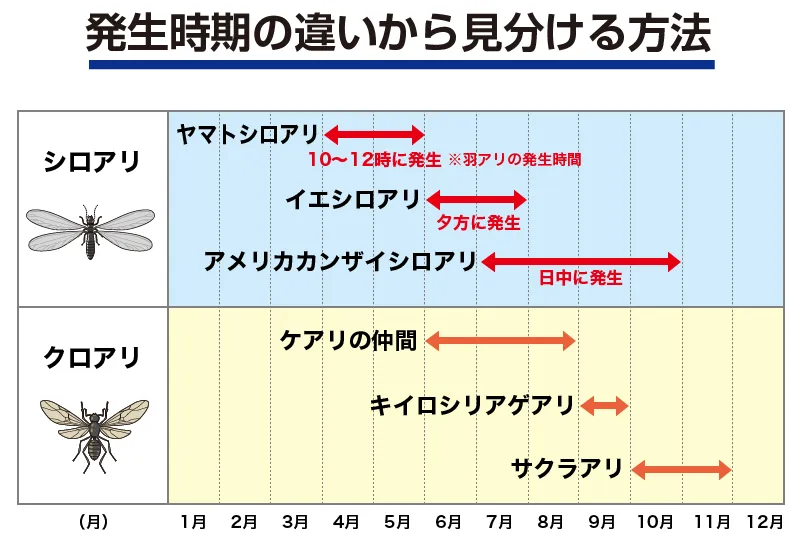 小さい蟻が家に大量発生しています！11月に入り2度目です。一度アリの巣コロリ系で- 教えて！住まいの先生 - Yahoo!不動産