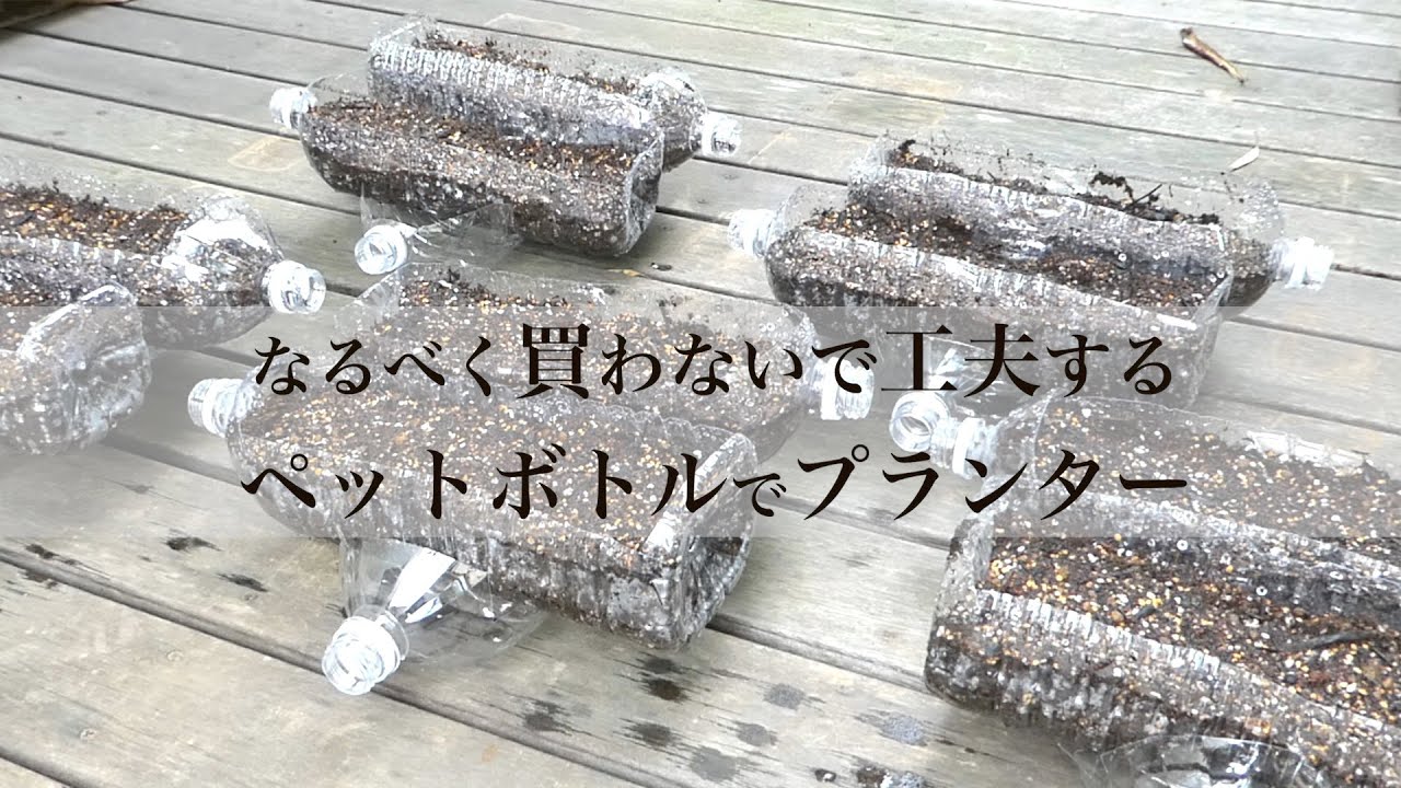 捨てる時に心苦しくない！ペットボトルを使った植木鉢の作り方をご紹介！植物の暮らしサポートマガジンPLANTE プランテ