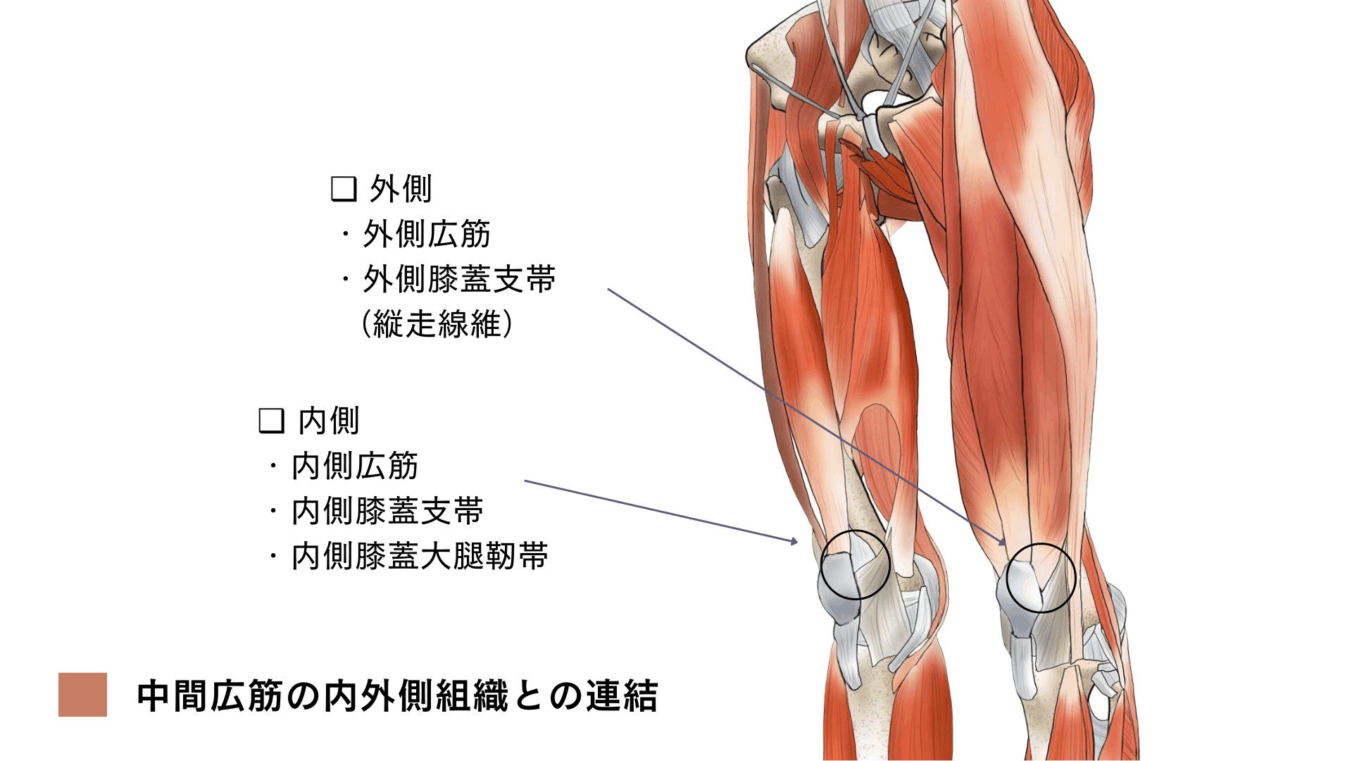 膝が痛い人は「正座」が快方のきっかけになるかもしれない自由が丘整体 治療院よしぐち