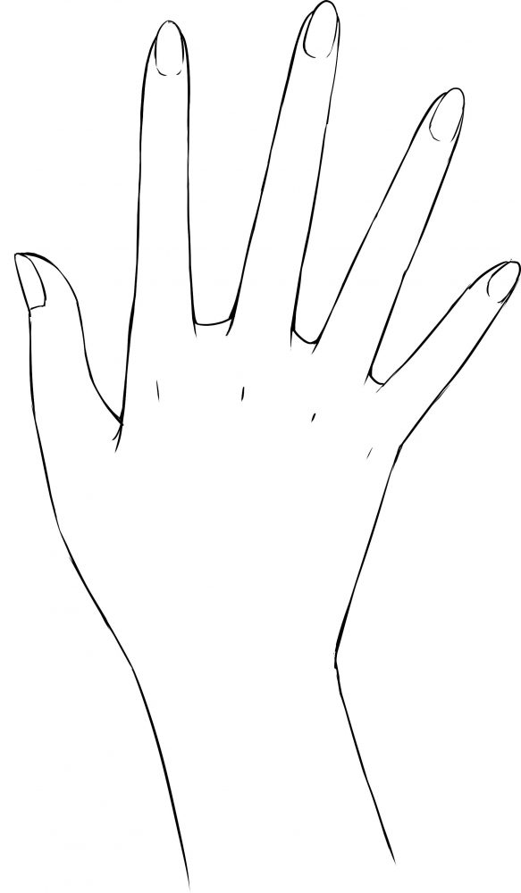 白の女性の手のケア無料写真