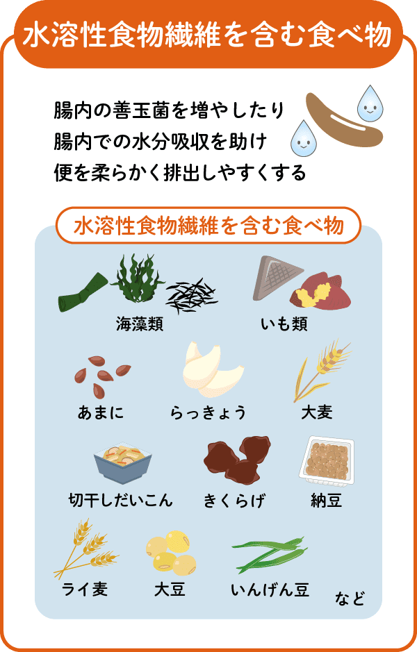 Amazon.co.jp:機能性表示食品 バンホーテン バンホーテンの腸活ココア200g×2個 : 食品・飲料・お酒