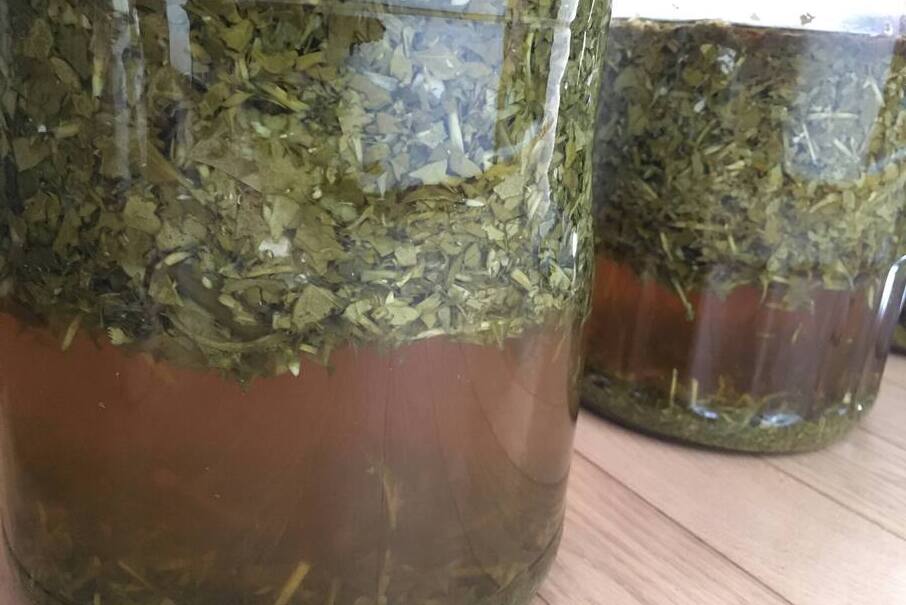 ベニシアさんのレシピで化粧水を作る - 夫婦で楽しむナチュラル スロー ライフ