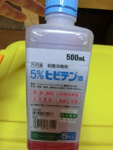 ウサギの家庭医学 第２回 皮膚疾患・体表腫瘤 前編 - いきもののわ