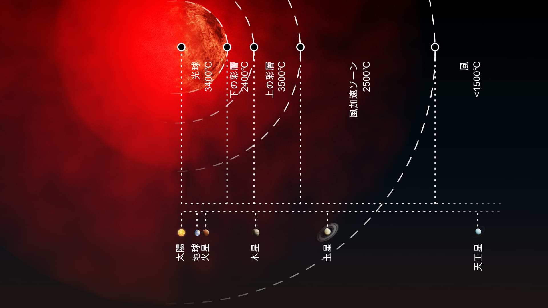 さそり座 蠍座- Cielo Stellato 88星座完全ガイド