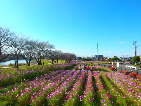 牛島古川公園（第2期）／春日部市公式ホームページ