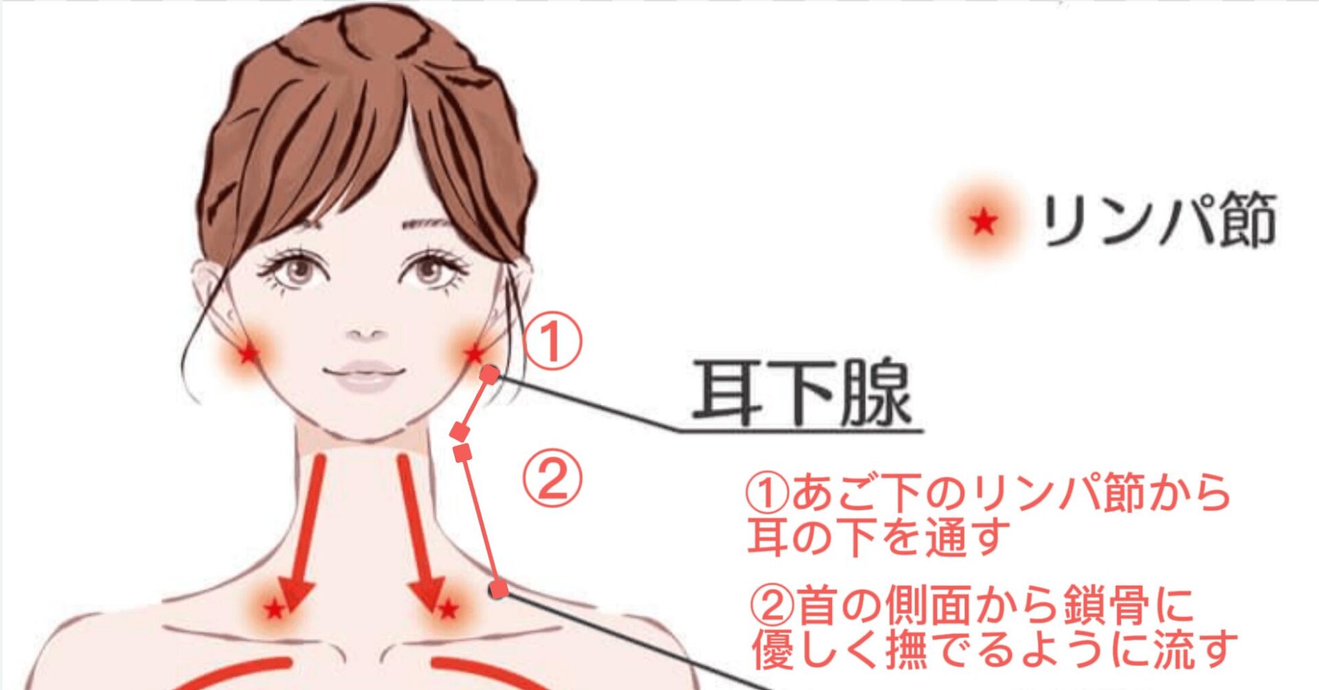 読者5人が2週間で若返った！驚きのリンパケア効果ハルメク美と健康