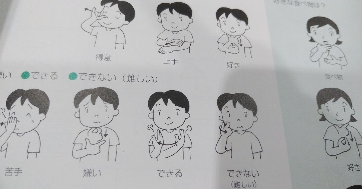 手話の美しさを表現するふたりずっとTikTok