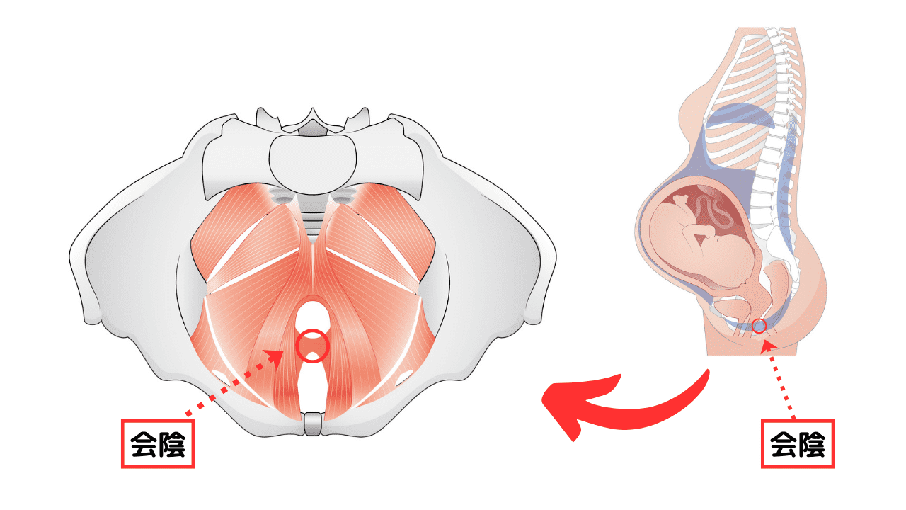 助産師監修 出産後の「マイナートラブル」って？産後ケアホテル マームガーデン