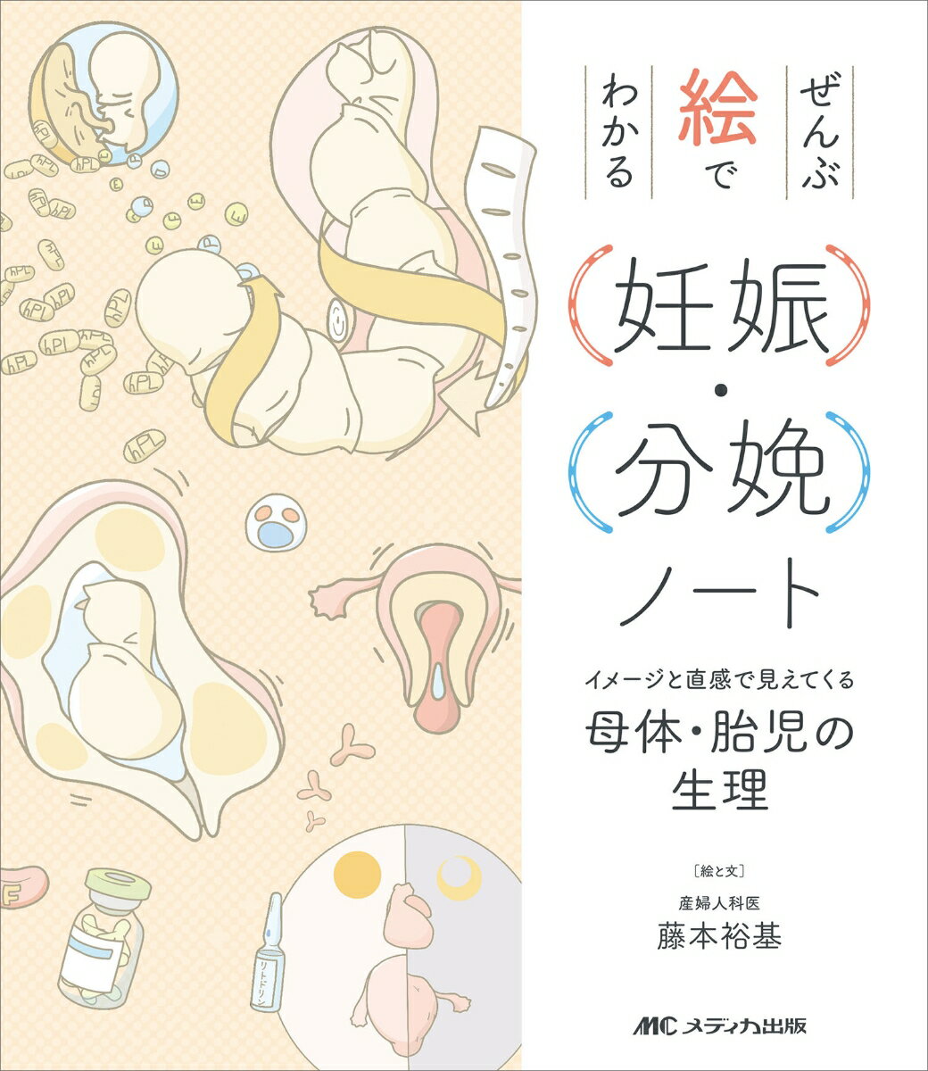 前置胎盤とは？原因や治し方、日常生活の過ごし方、出産方法について札幌市清田区の産婦人科「札幌みらいクリニック」