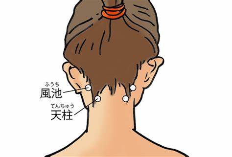 朝になるとなり始める耳鳴り肩こり・首こり、耳鳴のツボツボネット 鍼灸の症例が検索できるツボ辞典