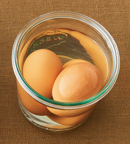 楽天市場 卵を塩水に入れると生まれる 不思議な生き物 エビもどき 育成 自由研究 夏休み 宿題 理科 教材 小学生 低学年 子供 プレゼントラッピング無料 てのひら実験室 簡単 楽しい 実験 キット 粗品 景品 お配り : Ｐ'ｓ Ｐａｒｋ