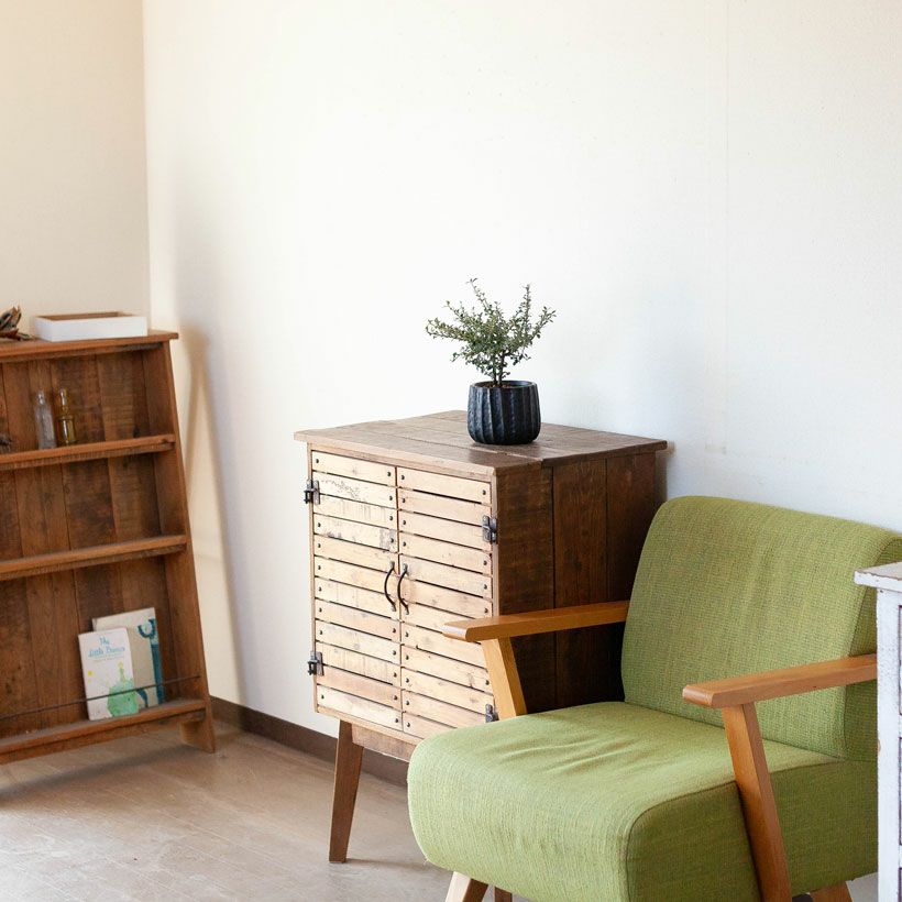 コトネアスター・ブクシフォリウスの育て方・栽培方法