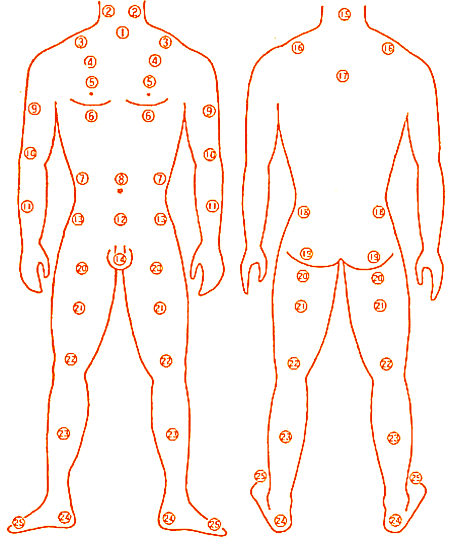 左耳たぶ ほくろ 占いTikTok
