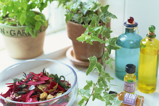 ローズマリーウォーターって？芳香蒸留水の作り方と使い方をご紹介エッセンシャルオイル・精油・アロマオイル通販Aroma Shop-Mont SaintMichel