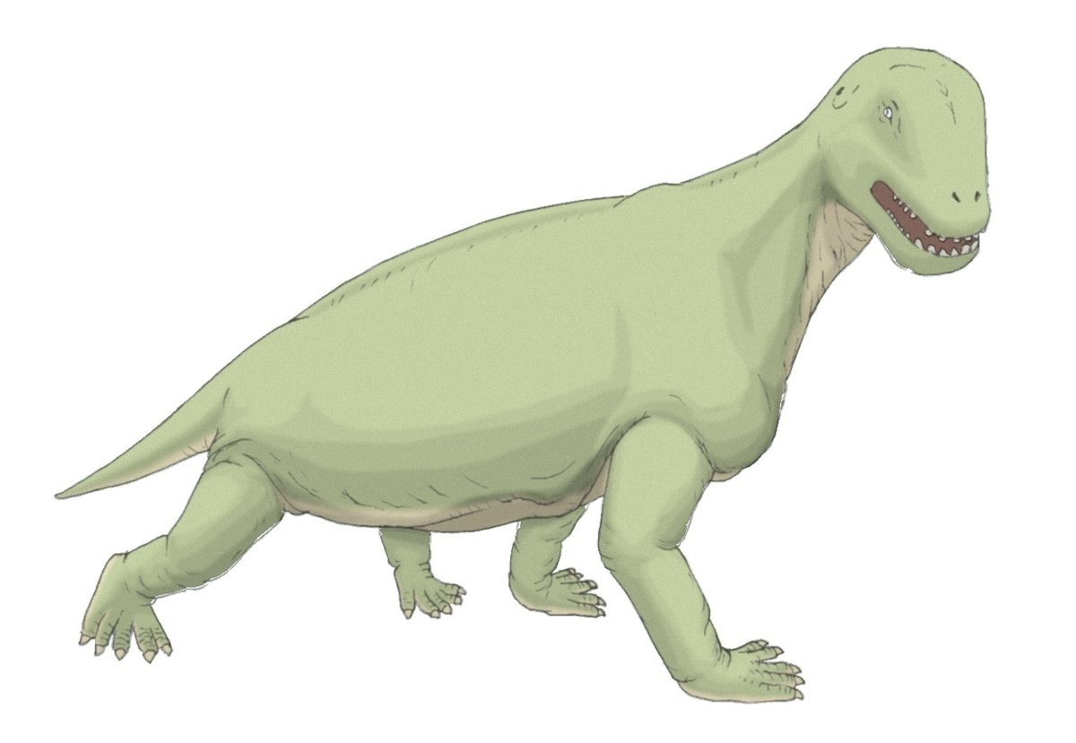 けろにあぶろぐ3 ウミガメの頭骨を眺める2 2- 小笠原海洋センタ