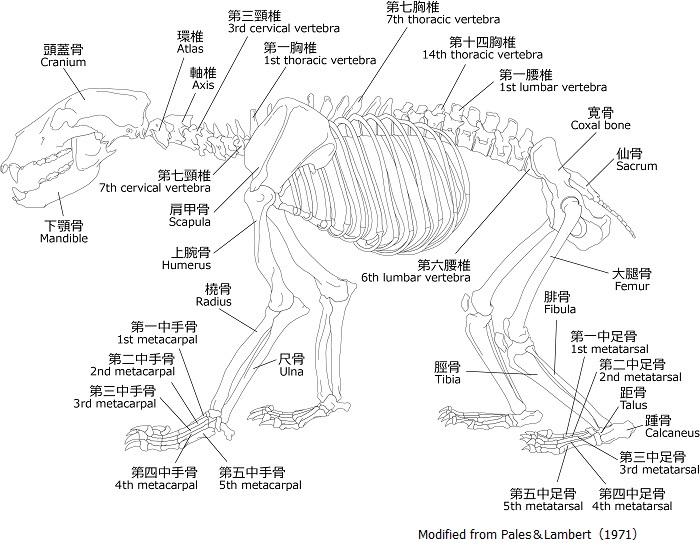 奈良文化財研究所ホームページ